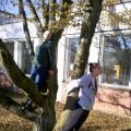 Dramatisches Gestalten